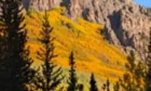 Fall in Colorado is truly magical